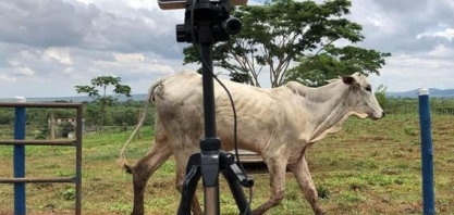 De balança virtual a drone pulverizador, as inovações das startups do agro