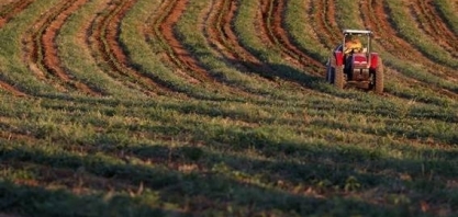 Canadá e EUA encaram perdas em safras por falta de mão de obra estrangeira