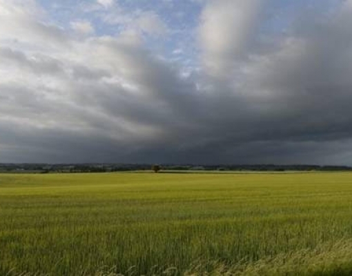 Clima causa impacto na safra 2019/2020 de grãos