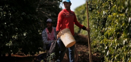 Grande safra do Brasil agrava mercado global de café em ano de pandemia