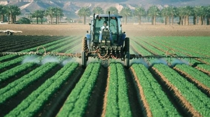 Brasil concede registro para agrotóxicos com dicamba, proibido nos EUA