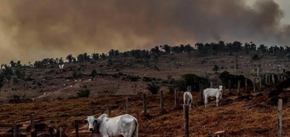 Ocupações ganharão escritura na Amazônia