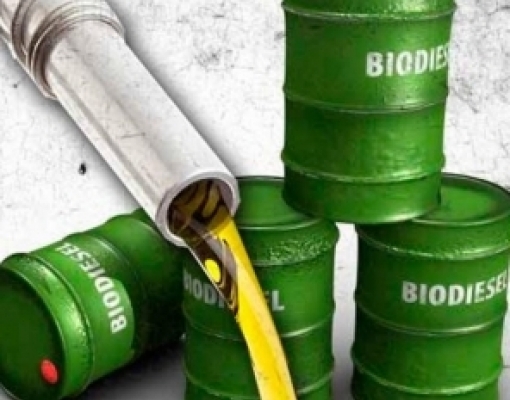 ANP: País atinge maior produção de biodiesel na série histórica da agência