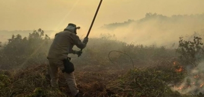 Por que Pantanal vive 'maior tragédia ambiental' em décadas