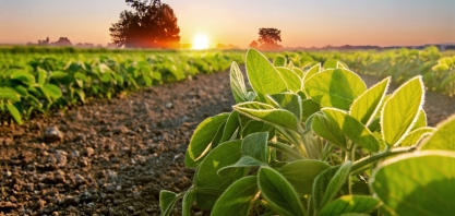 Cenário de 2021 repete evolução favorável de 2020 para agricultura 