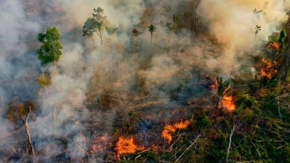 Incêndios florestais pelo mundo são os maiores em escala em 18 anos