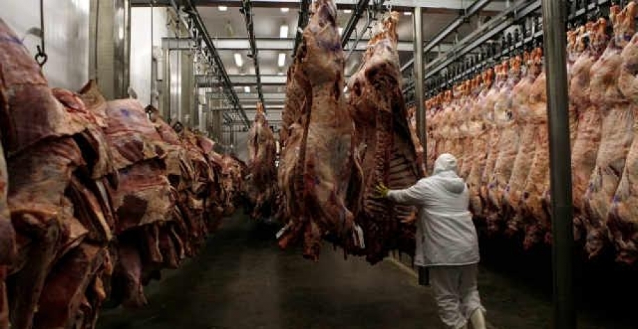  Ágio do boi cai bastante com maior oferta e pressão sobre preços da carne