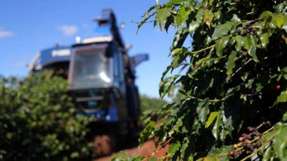 Café do Brasil ganhará mercado com volumosa safra de boa qualidade