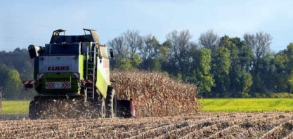 Escassez de milho na China gera preocupação com segurança alimentar