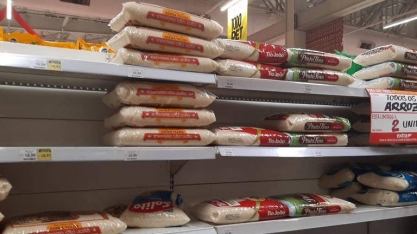 Com preço recorde, 71% da venda de arroz fica abaixo do custo de produção