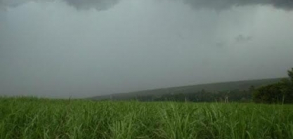 Cana: Chuva dos últimos dias no Centro-Sul ajuda mas pode ser insuficiente