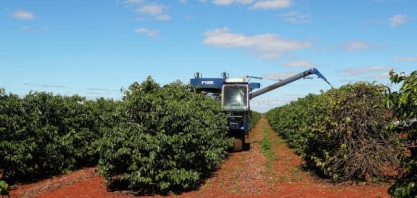 Exportação de café verde do Brasil cresce 11,5% em setembro