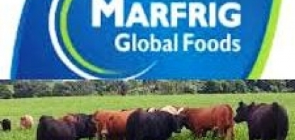 Marfrig compra produtora argentina de carne para hambúrguer