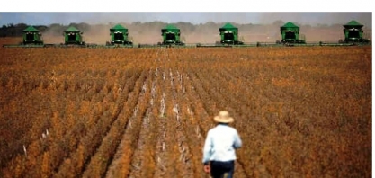 Pais prevê alta de 4,3% na safra de grãos 20/21 e recorde de 268,7 mi de t