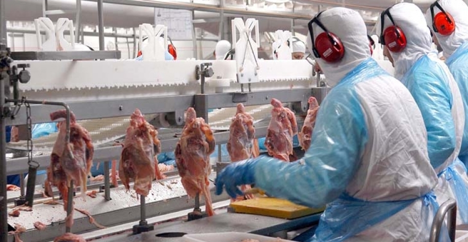 Exportação de carne de frango do Brasil recua em outubro 