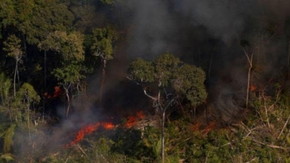 Incêndios na Amazônia brasileira aumentam em outubro