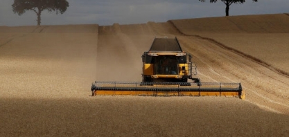 Agricultores dos EUA comemoram disparada no preço da soja;Brasil perde rali