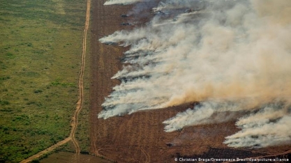 Brasil segue em queda livre em ranking de proteção climática