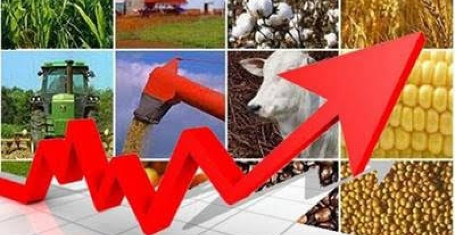 PIB do agro cresce 8,48%