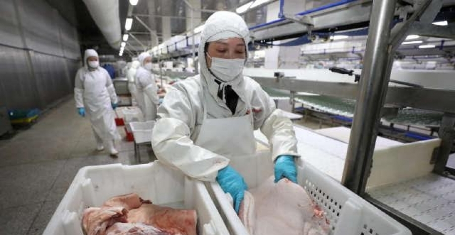 China deve comprar menos carne suína após importações recordes