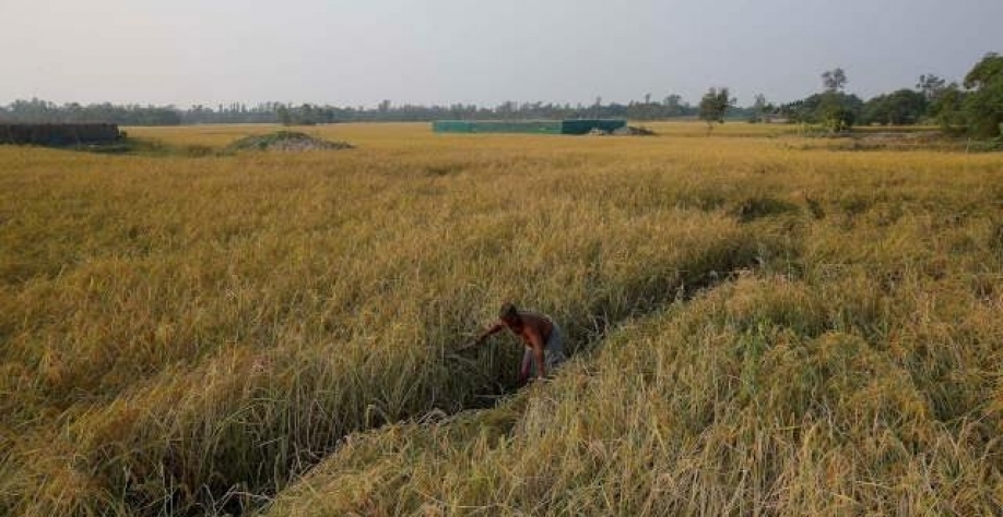 Suprema corte da Índia critica governo por impasse com agricultores