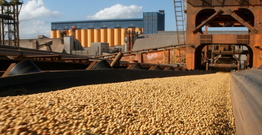 Atraso na vacinação impacta nas negociações externas do agro