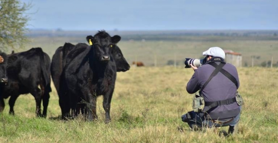 Um ano de bolso cheio no campo, é para não ser esquecido