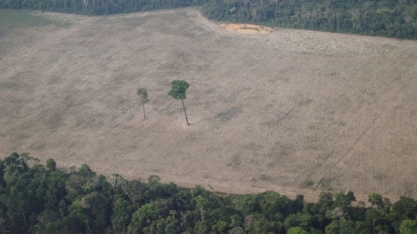 Força Nacional atuará em ações contra desmatamento na Amazônia