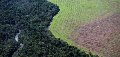 Cresce emissão de títulos verdes do setor agropecuário