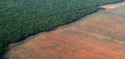 'Brasil precisa parar de anistiar irregularidades',diz líder do agronegócio