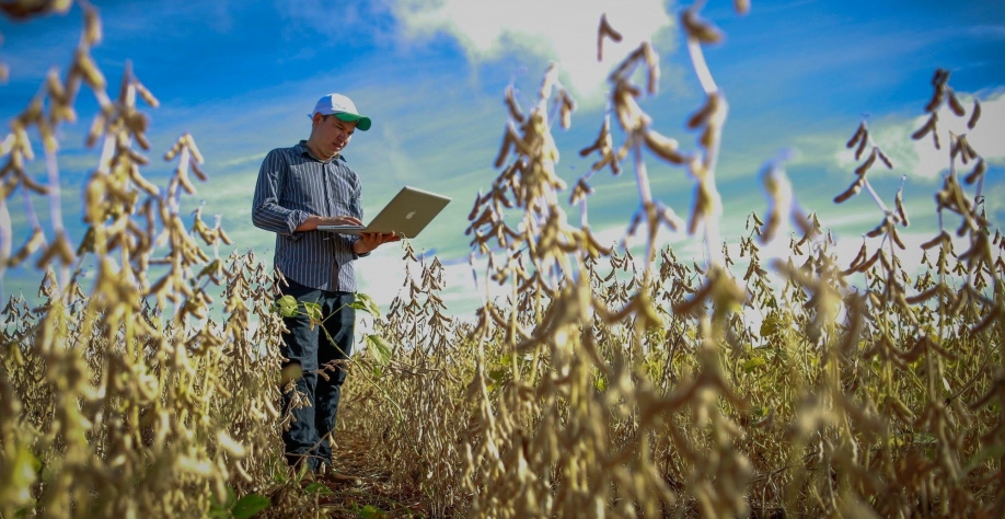 Brasil deslancha a digitalização no campo nesses tempos de pandemia