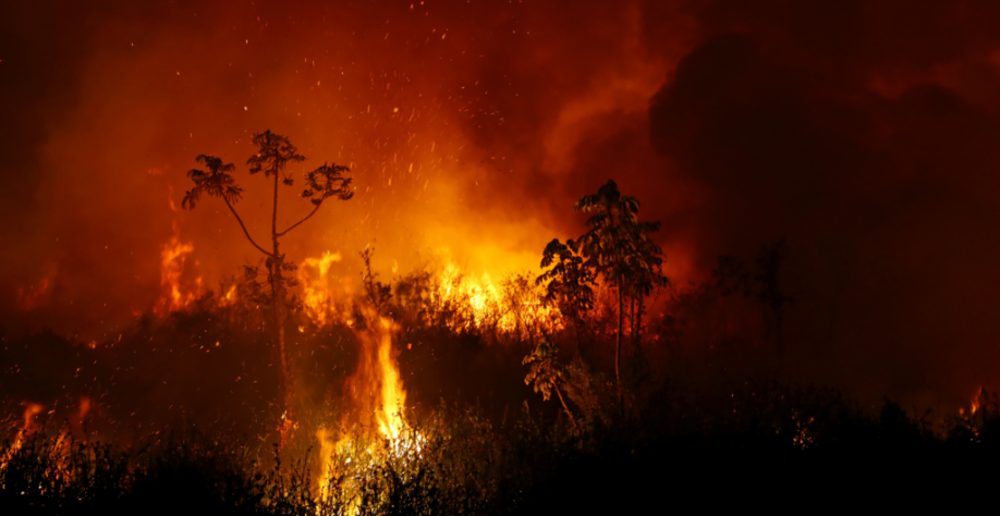 Cientistas alertam para piora de incêndios na Amazônia e Pantanal este ano