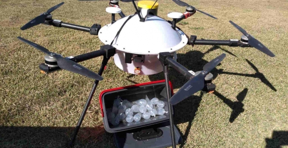 “Granja do futuro” tem ar-condicionado para aves e toque da BRF