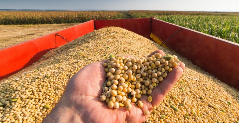 Efeitos do novo ciclo de commodities não se afastam do campo