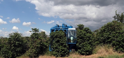 Estoques finais de café devem despencar 57% em 2021/22, diz Safras