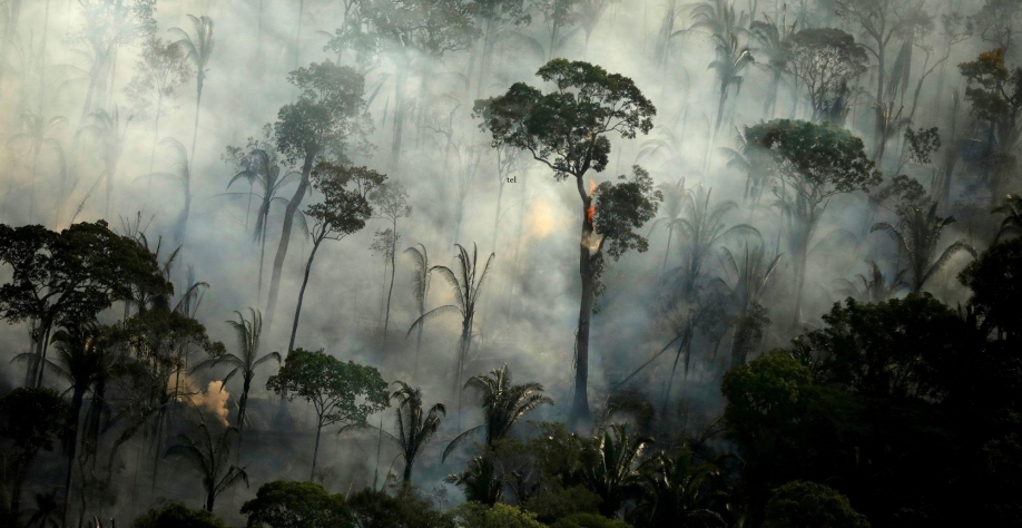 Estados da Amazônia Legal negociam investimentos contra desmatamento