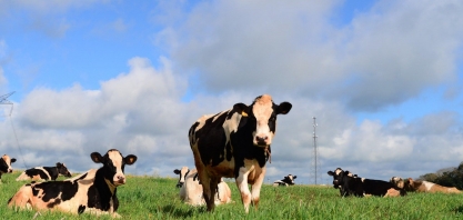 Embrapa e Nestlé iniciam parceria para produção de leite 