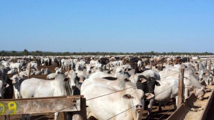 Arrendamento de terras acompanha tendência e vê alta de valores