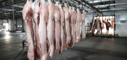 Exportação de carne suína tem 2º maior volume mensal e recorde em receita 