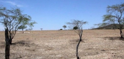 Mudança do clima cria deserto do tamanho da Inglaterra no Nordeste