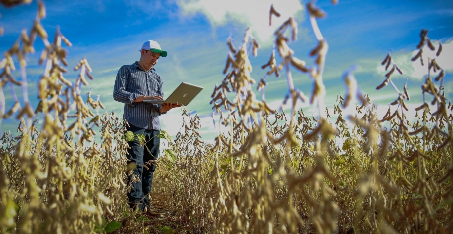 Oito aplicativos do agro para facilitar o gerenciamento de seu negócio