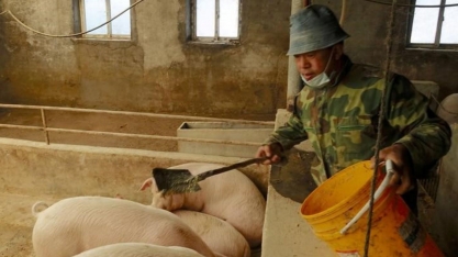 China tem maior produção de carne suína no 3º trimestre em 3 anos