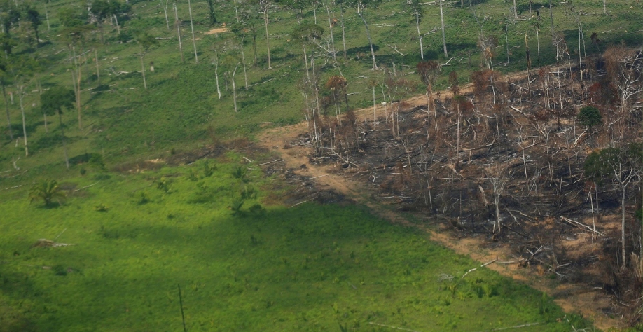 Desmatamento e aquecimento global colocam Amazônia sob ameaça