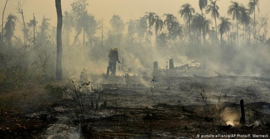 Concentração de gases-estufa na atmosfera foi recorde em 2020, adverte ONU