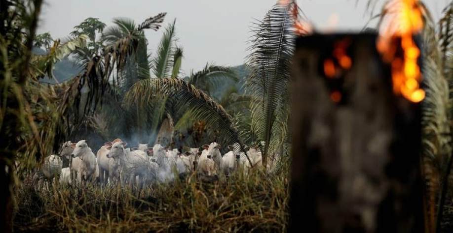 Entenda por que Brasil chega desacreditado à cúpula do clima COP26