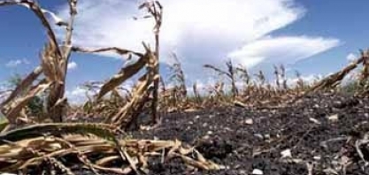 Mudanças climáticas afetam agricultura