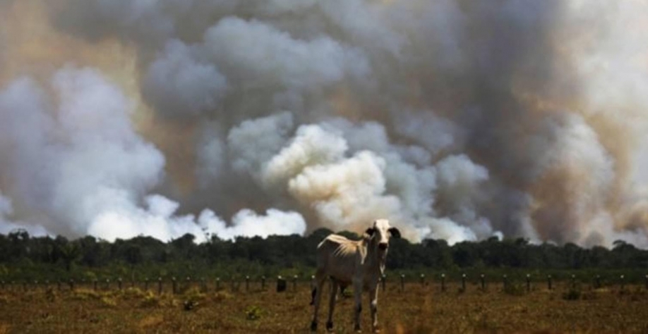 Brasil cortou 93% da verba para pesquisa em mudanças climáticas