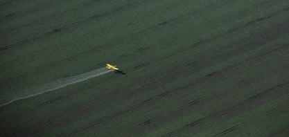 Agropecuária elevou emissões em 17% em três décadas, indica estudo