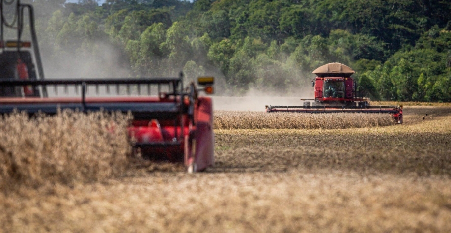 Agroconsult estima safra de soja em recorde de 144,3 mi t em 2021/22