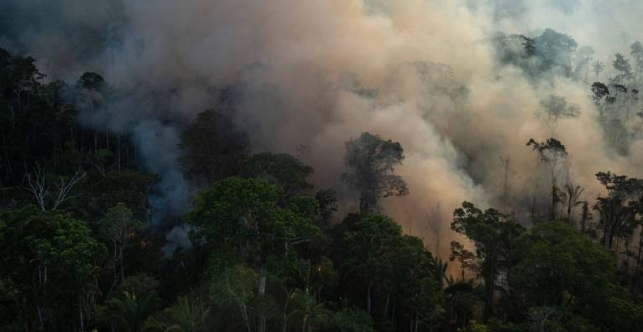 Declaração de Florestas apoia comércio agrícola livre de desmatamento